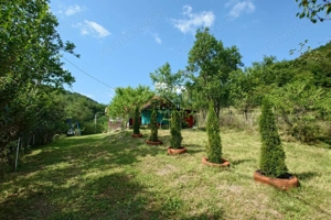 Cabana, anexe si 2000 mp teren intravilan in Taratel, Brad - imagine 11