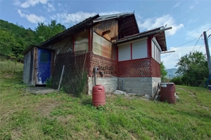 Cabana, anexe si 2000 mp teren intravilan in Taratel, Brad - imagine 16