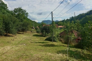 Cabana, anexe si 2000 mp teren intravilan in Taratel, Brad - imagine 14