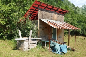 Cabana, anexe si 2000 mp teren intravilan in Taratel, Brad - imagine 17