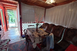 Cabana, anexe si 2000 mp teren intravilan in Taratel, Brad - imagine 4