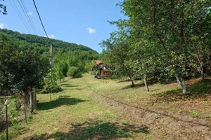 Cabana, anexe si 2000 mp teren intravilan in Taratel, Brad - imagine 9