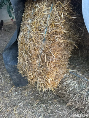 baloti de paie de grau