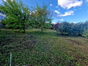 Teren 2,000mp Piatra-Neamt / Strada Pietrelor