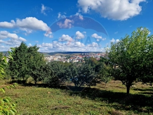 Teren 2,000mp Piatra-Neamt / Strada Pietrelor - imagine 13