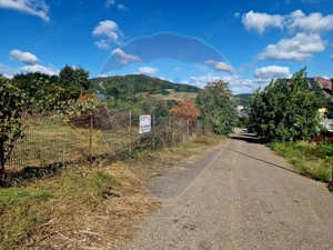 Teren 2,000mp Piatra-Neamt / Strada Pietrelor - imagine 12