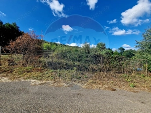 Teren 2,000mp Piatra-Neamt / Strada Pietrelor - imagine 15