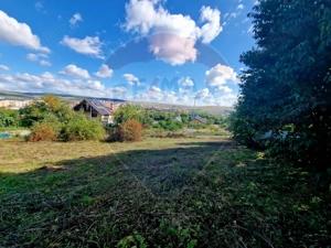 Teren 2,000mp Piatra-Neamt / Strada Pietrelor - imagine 9