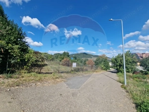 Teren 2,000mp Piatra-Neamt / Strada Pietrelor - imagine 5