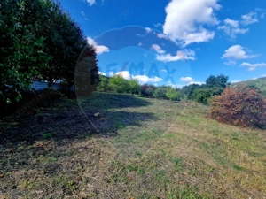 Teren 2,000mp Piatra-Neamt / Strada Pietrelor - imagine 11