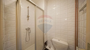 Apartament 3 camere de închiriat – Mihai Viteazul - imagine 14