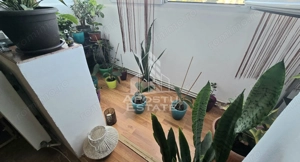 Apartament cu 2 camere, centrala proprie, etaj intermediar, Lipovei - imagine 4