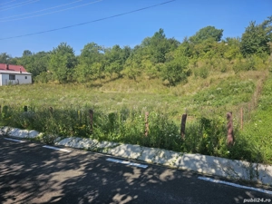 Vând teren intravilan  - imagine 4