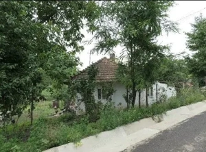 Casa si teren Costinesti, Botosani, ID: R2728052