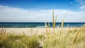 Teren intravilan Corbu, 776,5 mp aproape de plajă!