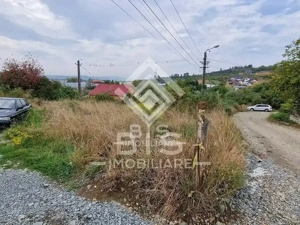 Teren 711 mp - Zona Leoni - imagine 6