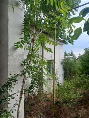 Teren strada Victoriei - imagine 2