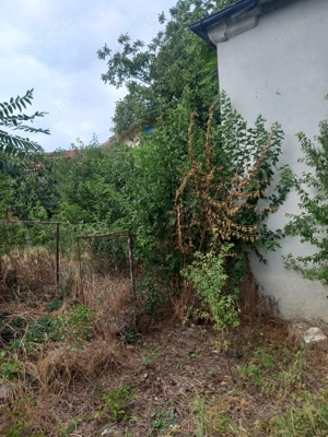 Teren strada Victoriei - imagine 6