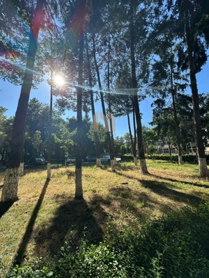 Apartament 2 camere la etajul I, Renovat, zona Iulius Mall - imagine 9