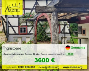 Germania ingrijire batrani
