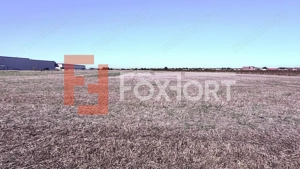 COMISION 0% Teren extravilan 40.000 mp - zona Sanandrei - imagine 3