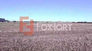 COMISION 0% Teren extravilan 40.000 mp - zona Sanandrei - imagine 4