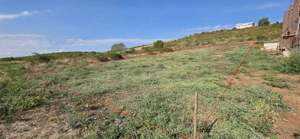 Vindem parcela teren intravilan de 841 mp in Oncea - imagine 4