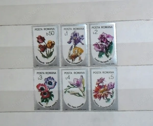 Timbre  Flori  - 1986