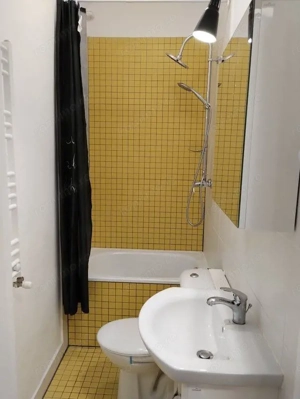 Apartament 3 camere ,in vila,  renovat total, pe strada Visinilor - imagine 8
