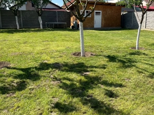 Casa individuala, Mosnita Noua, parter, 120mp utili, 660mp teren  - imagine 15