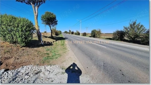 Teren de vanzare in Costinesti 400 mp