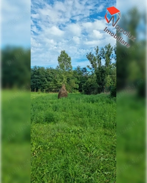 Teren pentru constructii in comuna Ciurila - imagine 4