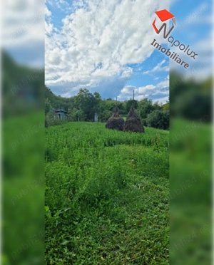 Teren pentru constructii in comuna Ciurila - imagine 5