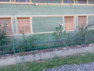 Vând casă în Balinț, județul Timiș