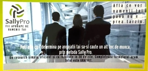 Consultant Financiar