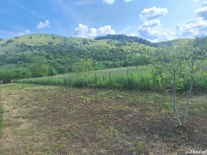 Vând teren intravilan 600 mp