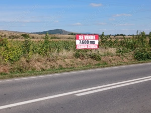 Teren inTârgu Ocna ...9600mp.SCHIMB