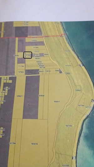 1000 mp teren intravilan, Faleza Tuzla - imagine 3