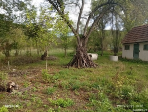 Casa Bătrâneasca  - imagine 10