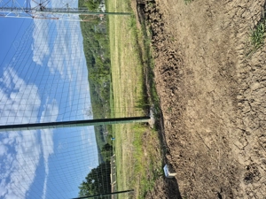 Teren intravilan 791 m - imagine 4