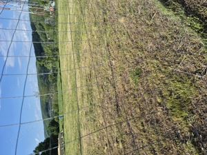 Teren intravilan 791 m - imagine 7