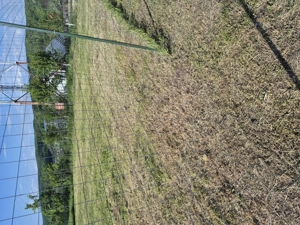 Teren intravilan 791 m - imagine 6