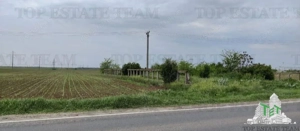 Teren intravilan - vanzare - centura - Cazasu - Braila