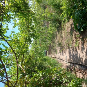 casa de vînzare - imagine 3