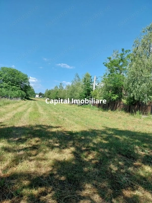 Teren 1942 mp, Baicoi, €32.500
 - imagine 2
