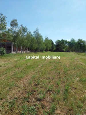 Teren 1942 mp, Baicoi, €32.500
 - imagine 5