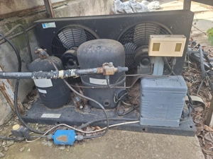 Vand teren intravilan 10.000 mp + CASA + Anexe cu utilitati in M. Kogălniceanu, jud. Constanta  - imagine 8