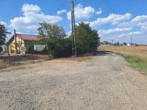 Vand Ciupercarie cu utilități si teren intravilan 10.000mp in loc. Mihail Kogalniceanu, jud. Constan - imagine 4