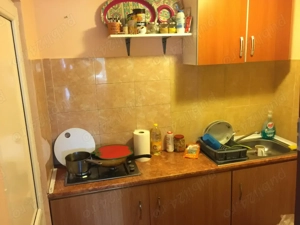 casa cabana mihaieni acas   - imagine 7