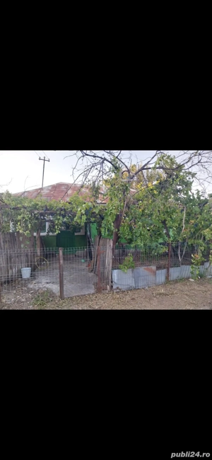 Vând casă în Teleorman,  sat Albeni